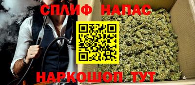 дмт Бийск