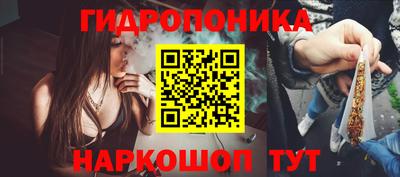 дмт Бийск