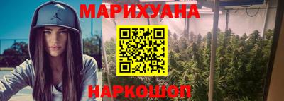 дмт Бийск