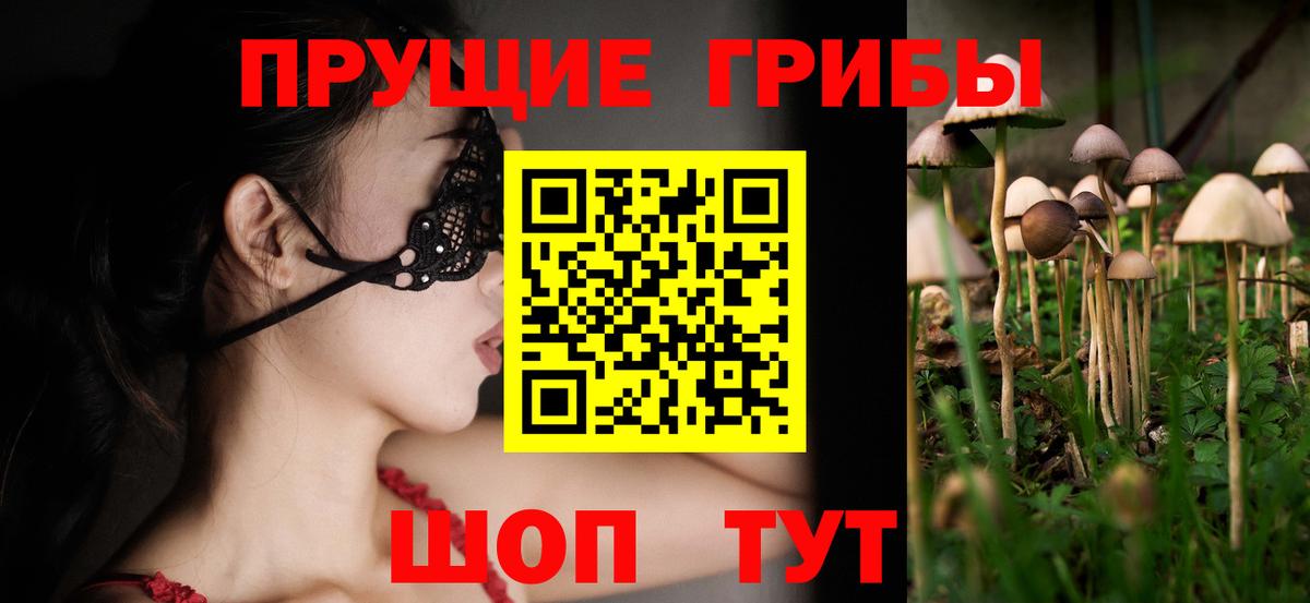 Псилоцибиновые грибы прущие грибы Калуга